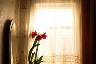 dla-kogo-firanki-z-motywem-kwiatowym