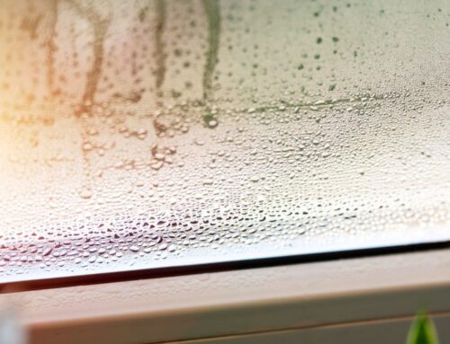 Dlaczego na oknach pojawia się wilgoć? Przyczyny i sposoby na problem
