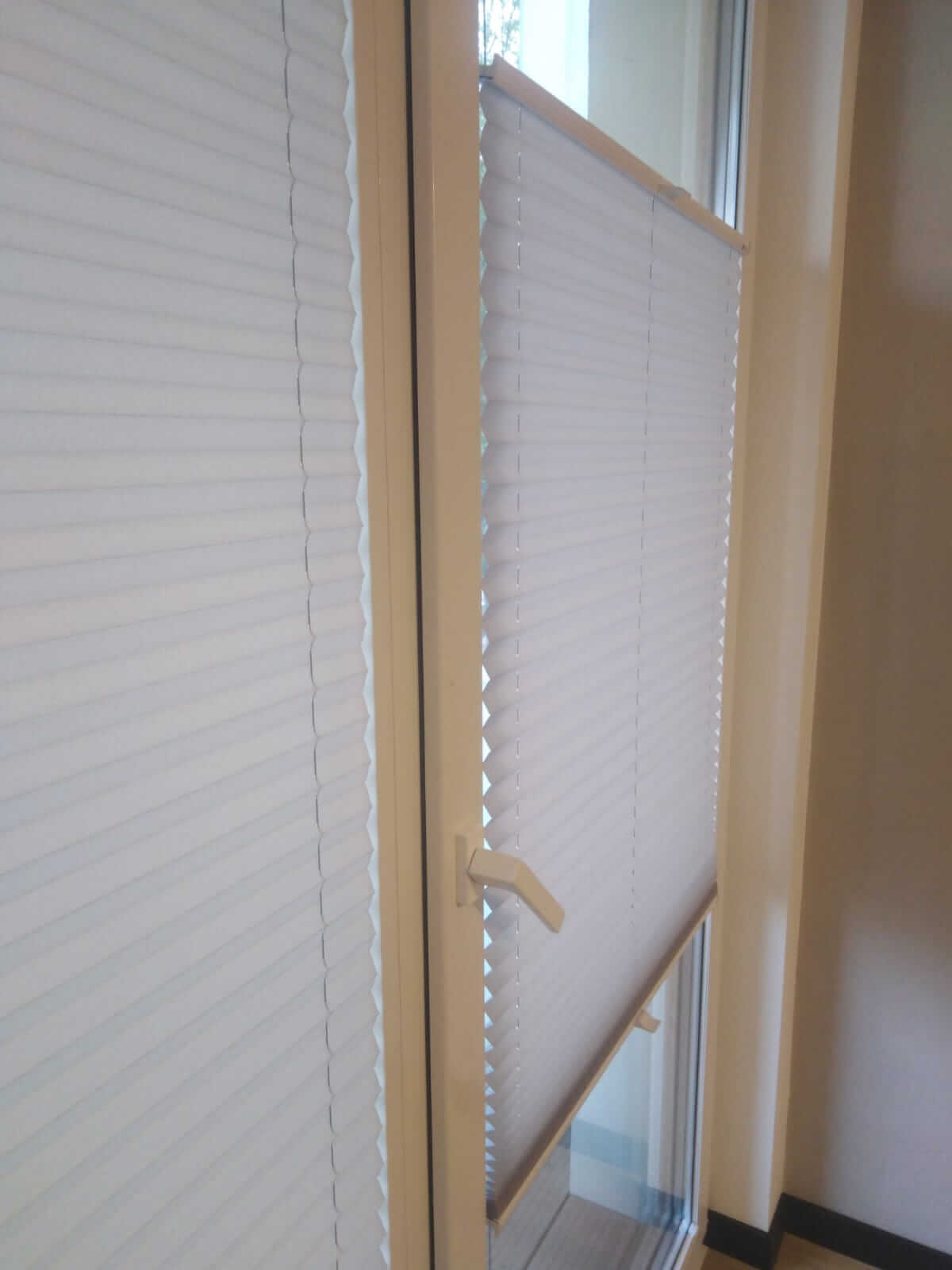 plisy-poznan-grasen-realizacje-2